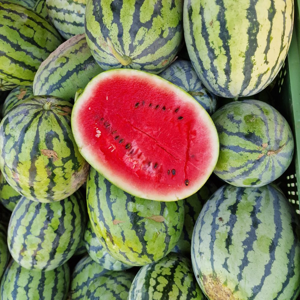 Lubenice s Kmetije Kristan