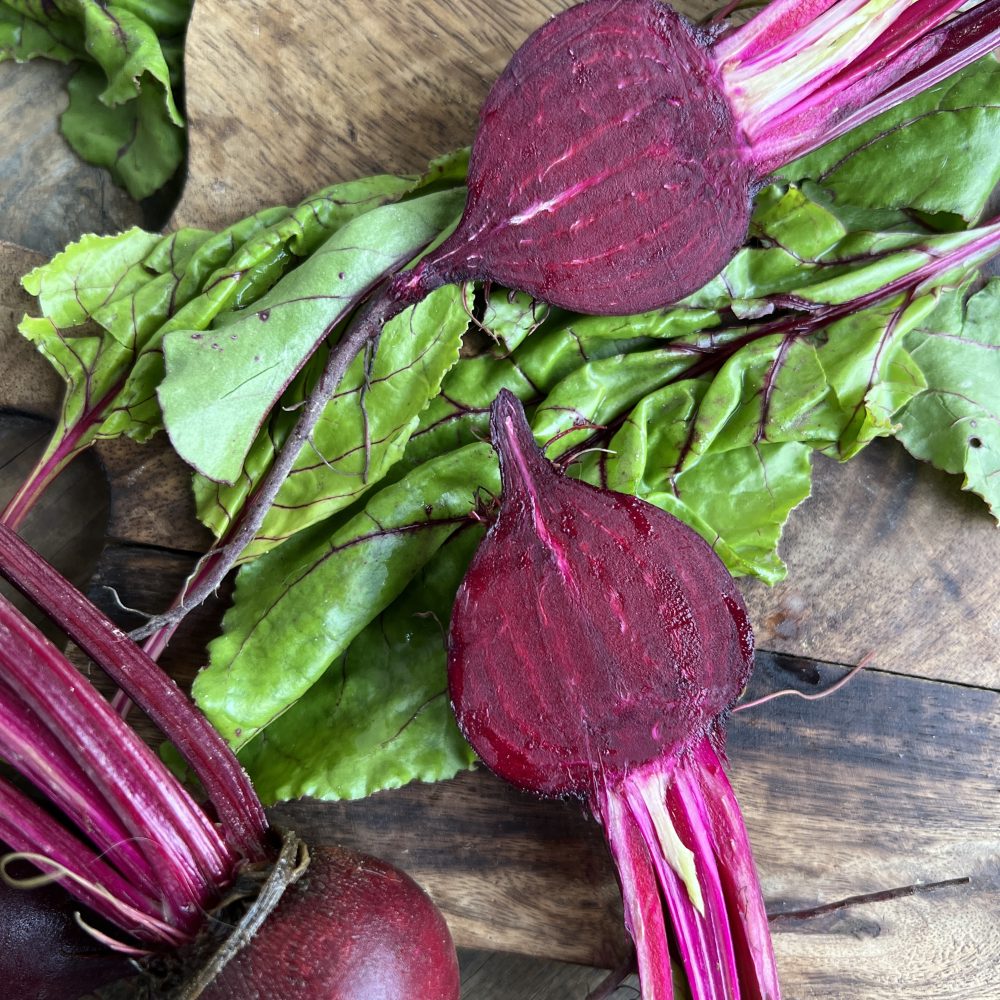 Baby rdeča pesa s Kmetije Kristan.