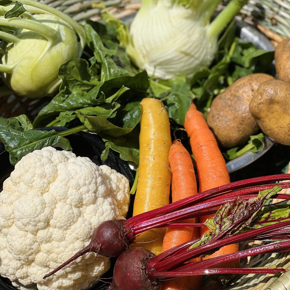 Baby gajbica za uvajanje hrane dojenčkom (sezonski pridelki) s Kmetije Kristan.