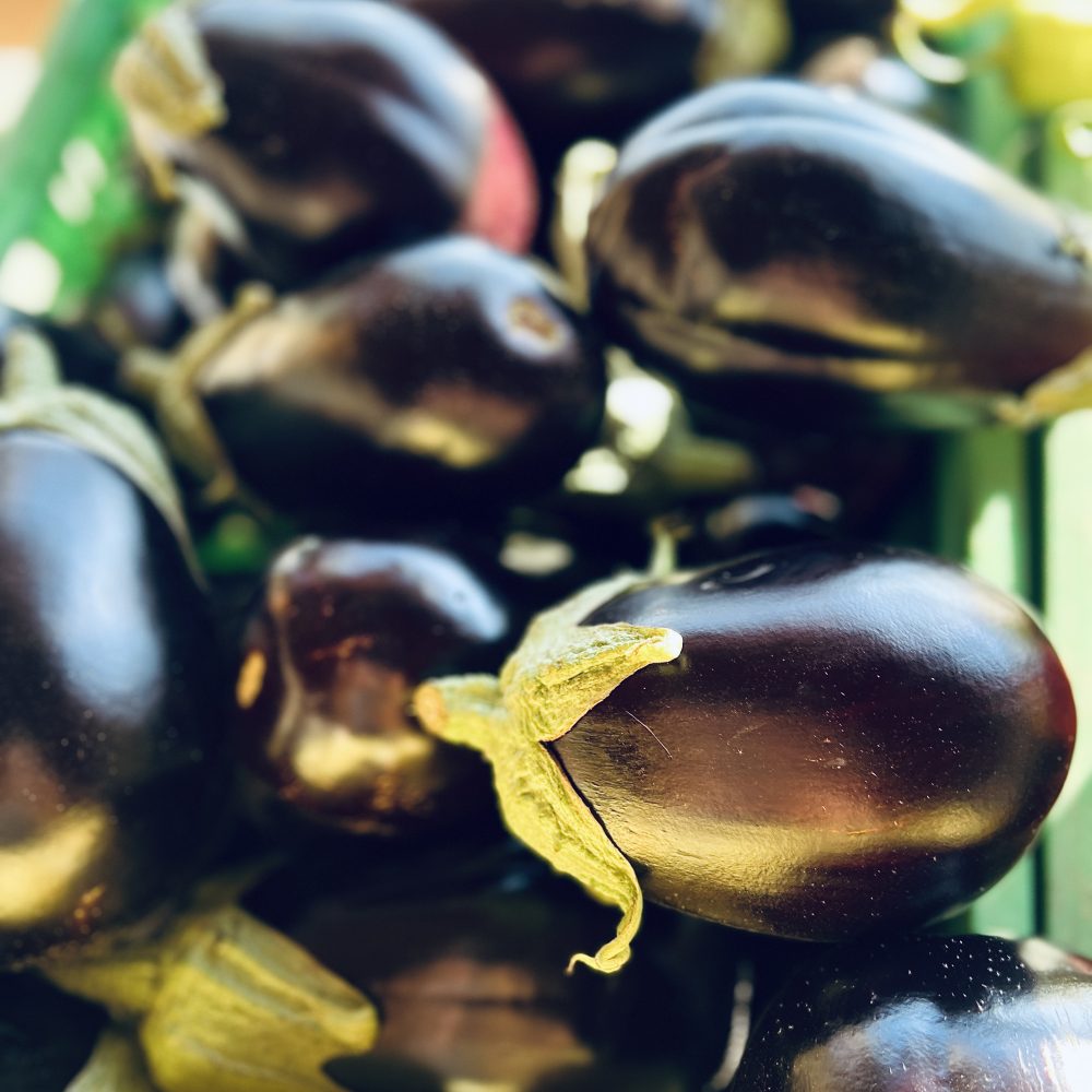 Jajčevci s Kmetije Kristan