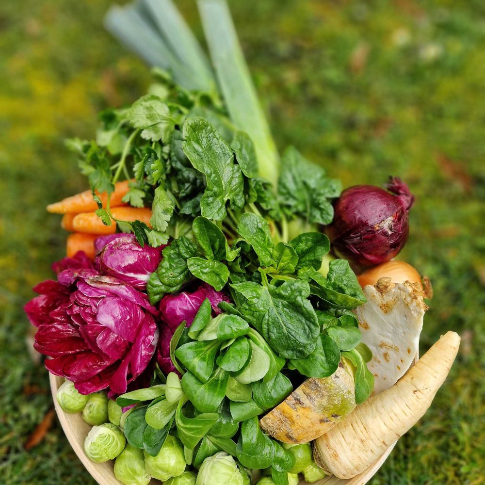 Pester sezonski zelenjavni zabojček s kmetije Kristan – barvito in zdravo.