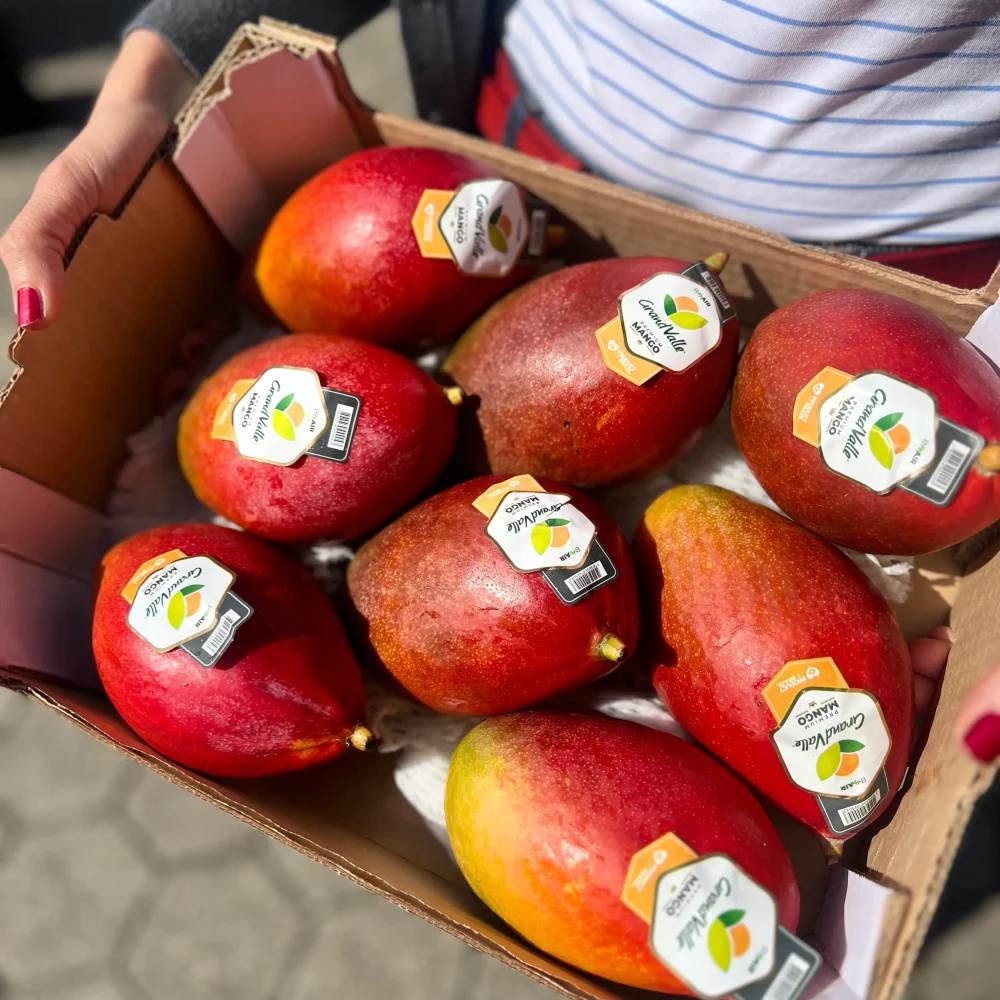 Letalski mango - Eko kmetija Avšić