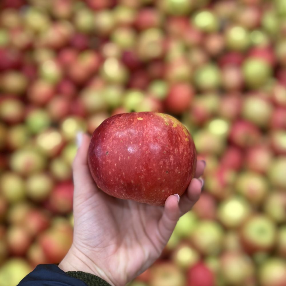 Jabolka - Sadjarstvo Krepfl