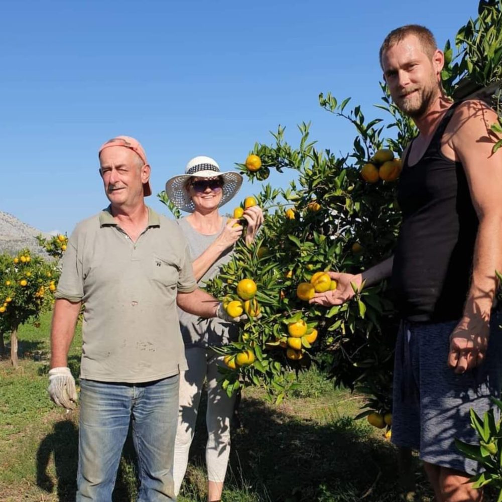 Družina Šamić v svojem sadovnjaku mandarin v dolini Neretve – ponudniki svežega sadja na Malem placu.