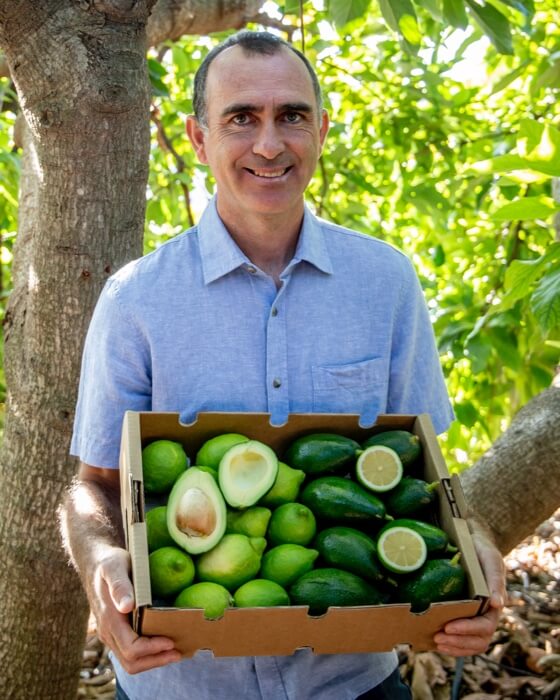 Paco Marin Salgado z gajbico avokada - Mali plac za prihodnost